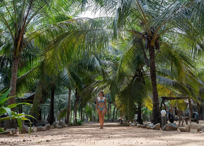 Sand Dune Beach Resort & Surf Camp