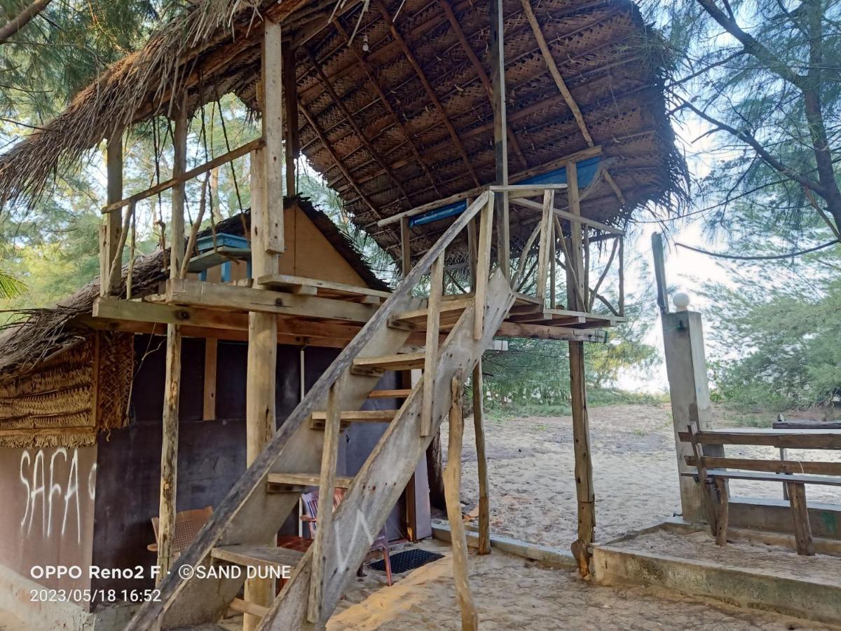Dune & Surf Camp