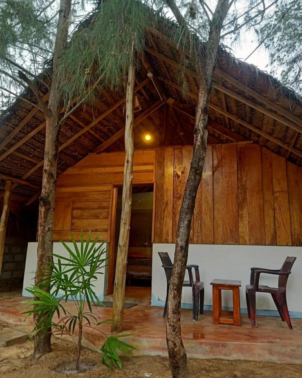 Dune & Surf Camp