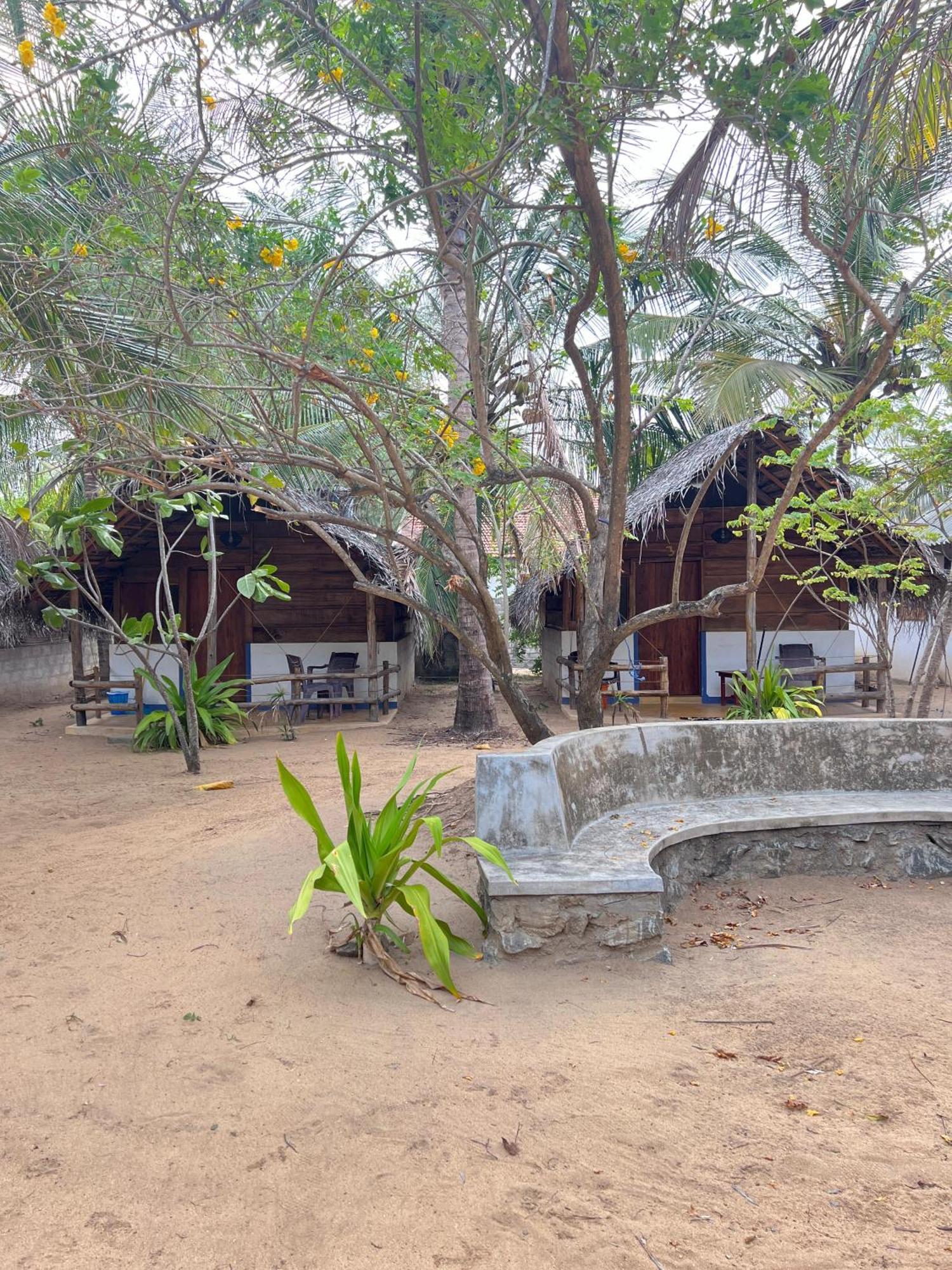 Pensión Dune & Surf Camp Arugam Bay