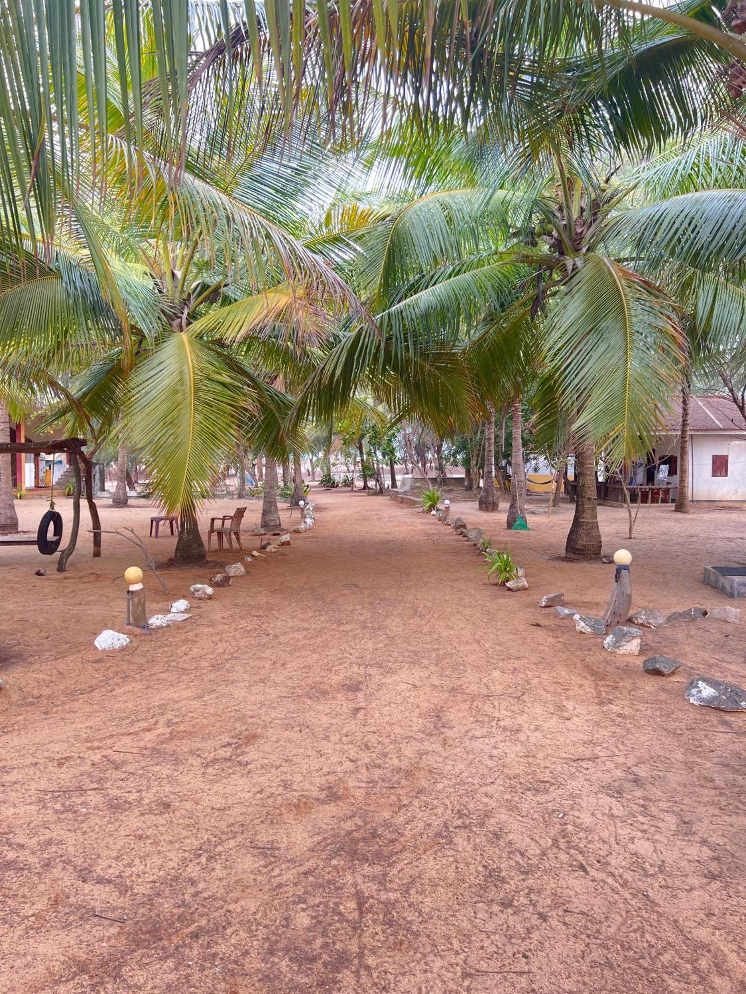 Dune & Surf Camp Arugam Bay
