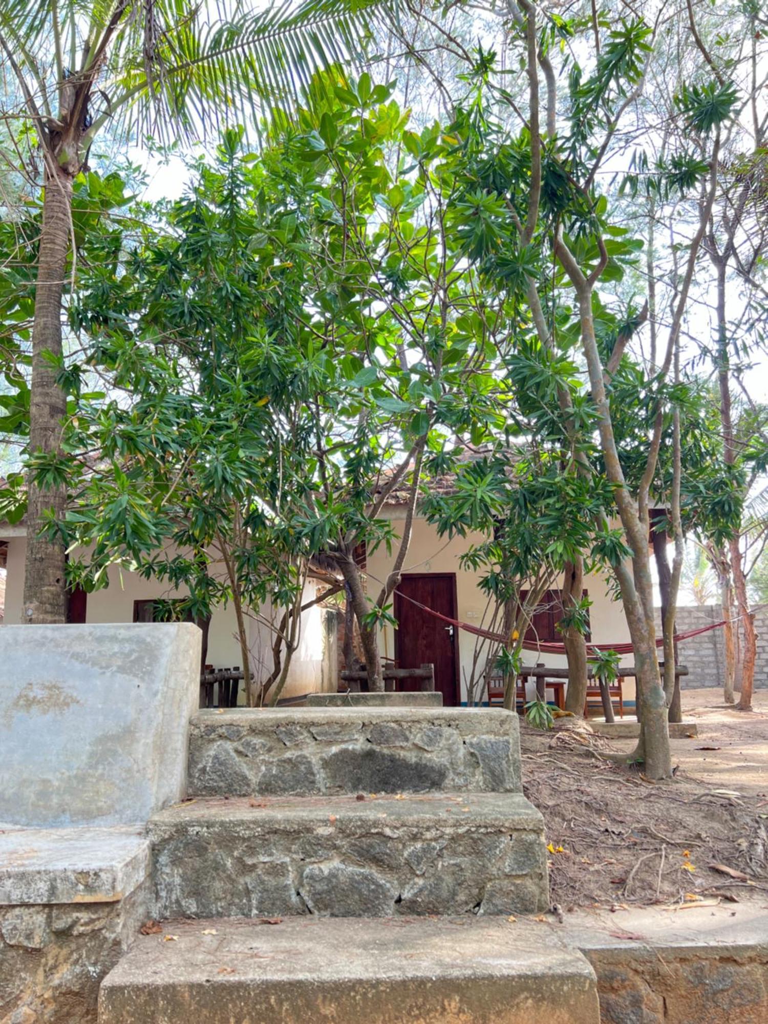 Guest house Dune & Surf Camp *