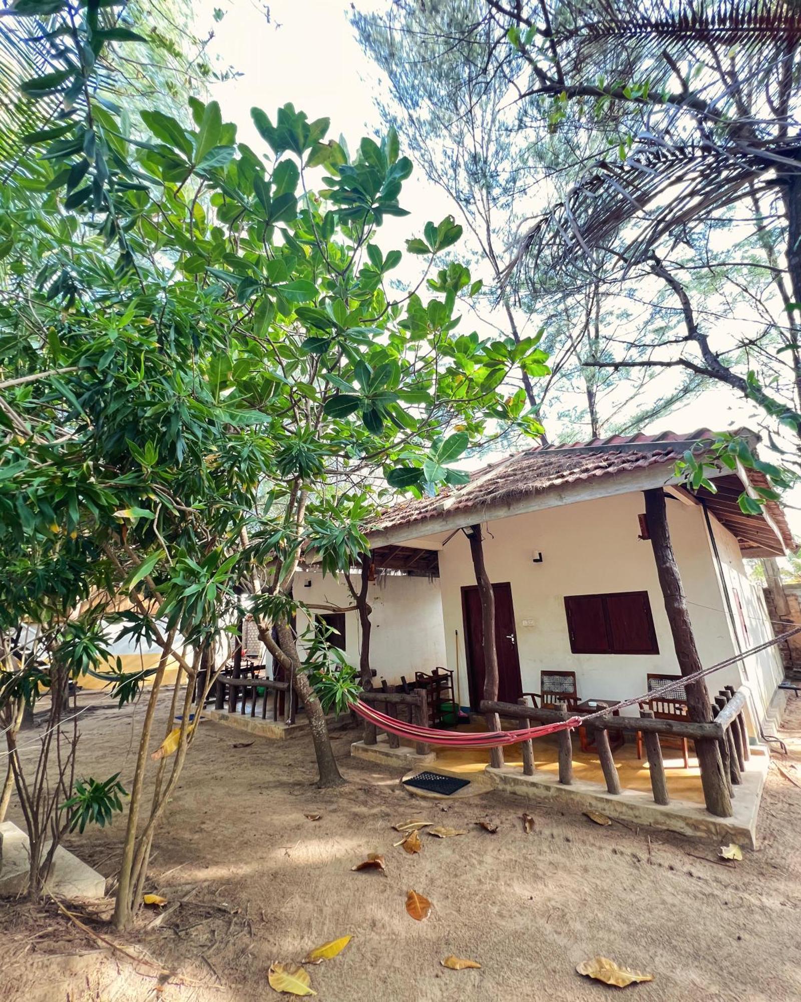 Dune & Surf Camp