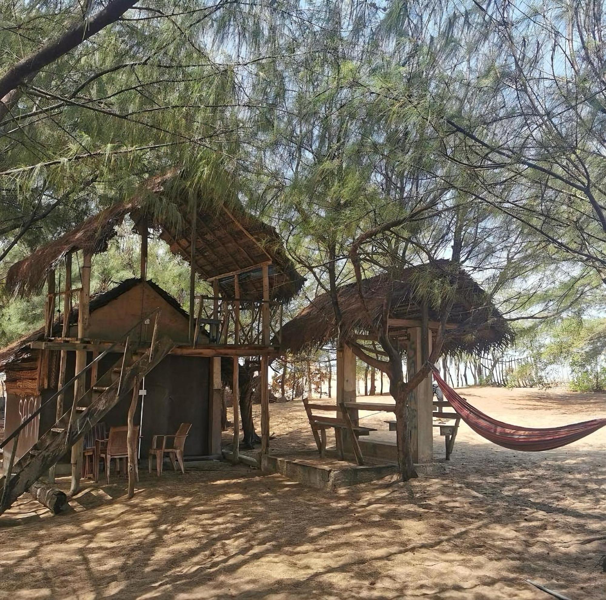 Dune & Surf Camp Pensión Arugam Bay