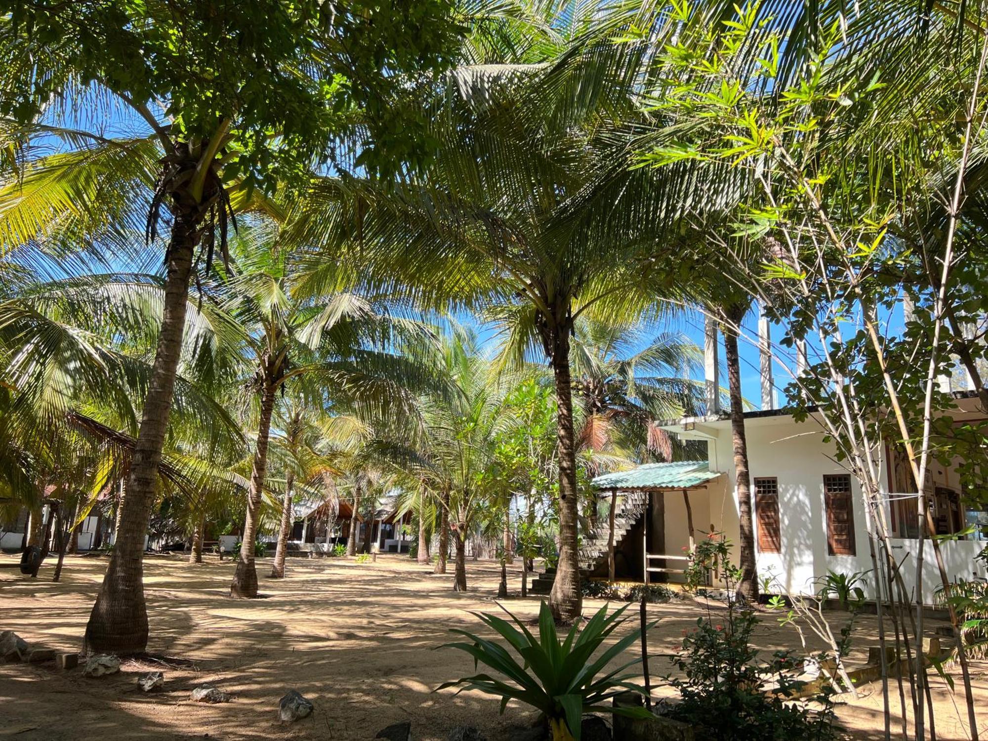 Dune & Surf Camp