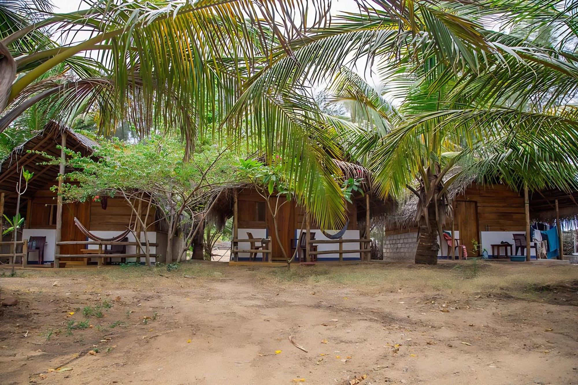 गेस्ट हाउस Dune & Surf Camp *
