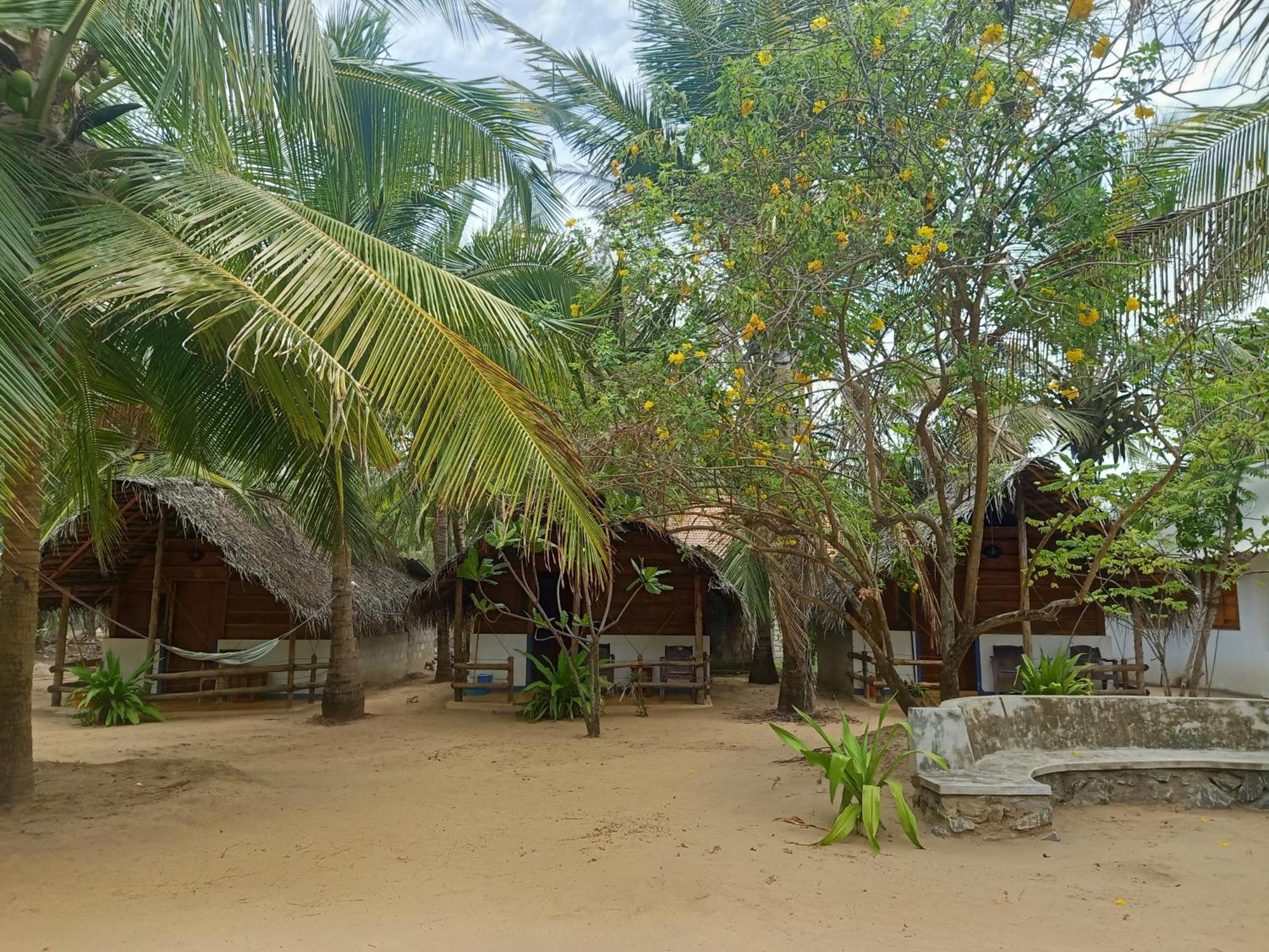 Dune & Surf Camp *