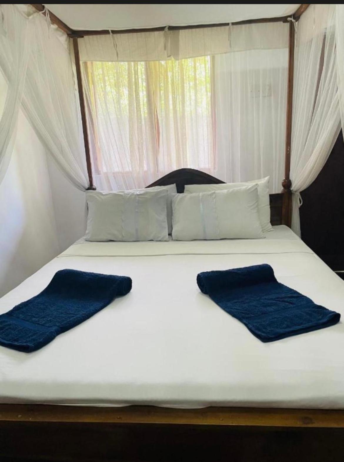 Dune & Surf Camp गेस्ट हाउस *